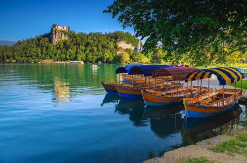 Photo 29 - Chalet Kupljenik Near Bled Lake