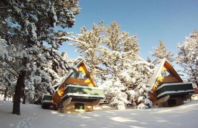 Douglas Fir Resort and Chalets - Foto 31