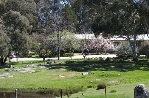 Photo 25 - Golden Heritage Apartments Beechworth