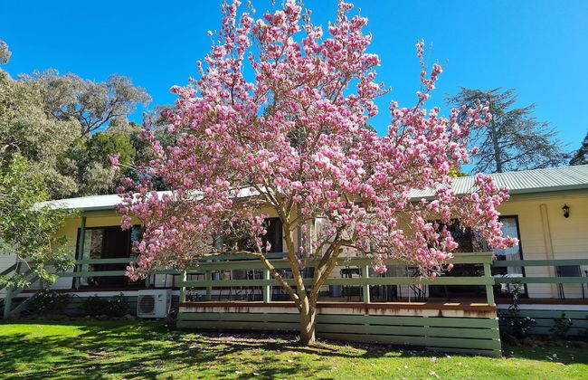 Golden Heritage Apartments Beechworth - Foto 20