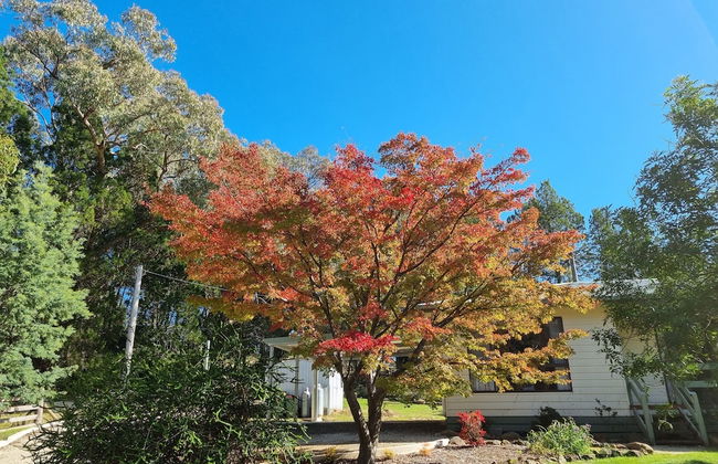 Golden Heritage Apartments Beechworth - Foto 19