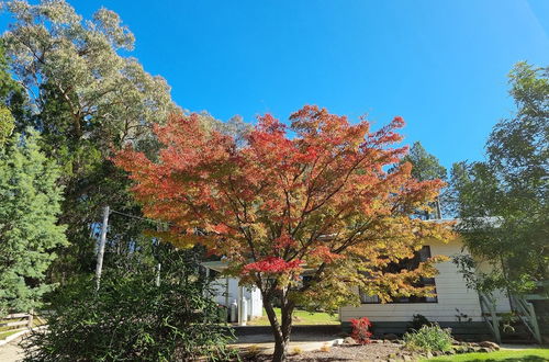 Photo 19 - Golden Heritage Apartments Beechworth