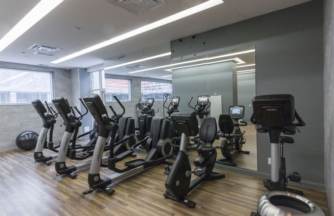 QuickStay - Luxury Executive in Yorkville (Yonge & Bloor) - Foto 19