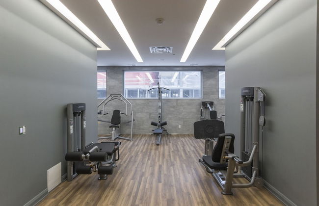QuickStay - Luxury Executive in Yorkville (Yonge & Bloor) - Foto 20