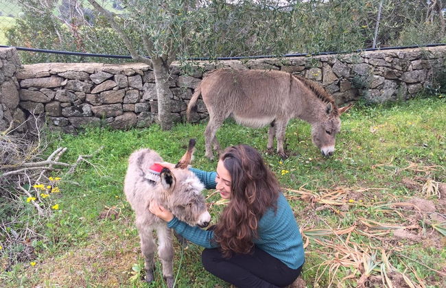 Agriturismo Lu Branu - Foto 34