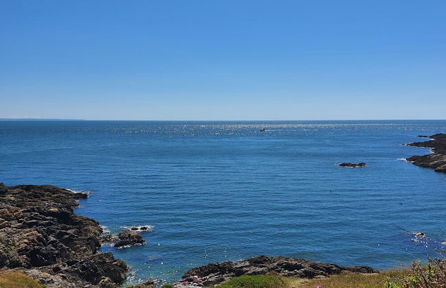 The Mumbles - Bungalow - 2 Bedrooms - Pet Friendly - Foto 23