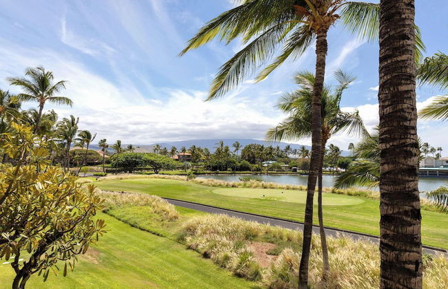Fairway Villas Lanai Overlook - Foto 34