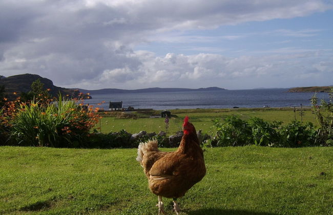 Top House - Foto 23