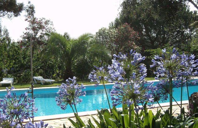 Shared Quinta With Pool and Olive Grove Views - Foto 32