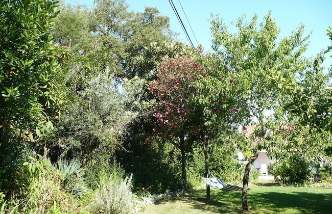 Quinta Retreat With Pool and Olive Grove - Foto 42