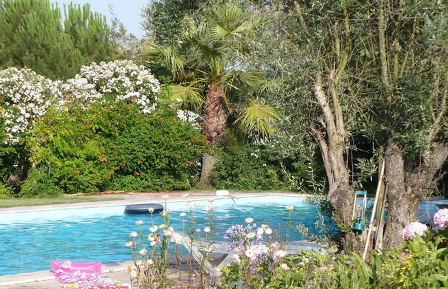 Shared Quinta With Pool and Olive Grove Views - Foto 30