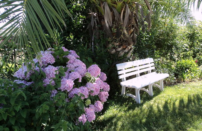 Shared Quinta With Pool and Olive Grove Views - Foto 38