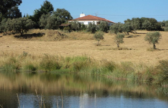 Shared Quinta With Pool and Olive Grove Views - Foto 45