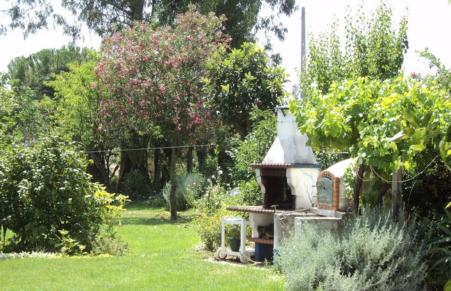 Shared Quinta With Pool and Olive Grove Views - Foto 23