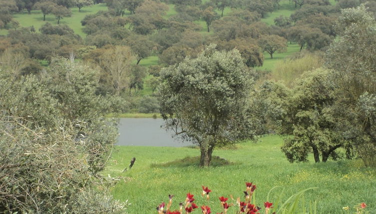 Photo 1 - Farmhouse in Montemor-o-novo With Swimming Pool