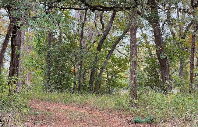 1 Son's Rio Cibolo - Birdhouse Cabin - Foto 35