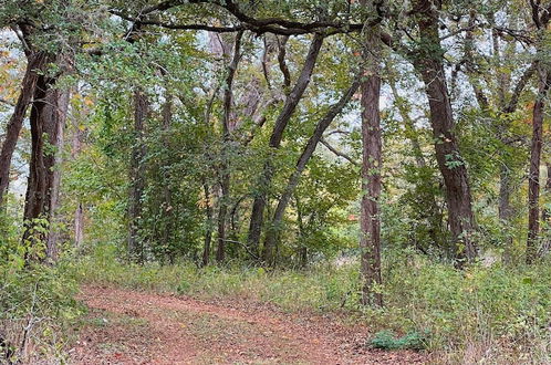 Foto 43 - 2 Son's Rio Cibolo - Birdhouse Cabin