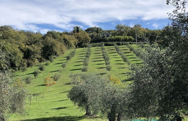Agriturismo Poggio del Drago - Foto 24