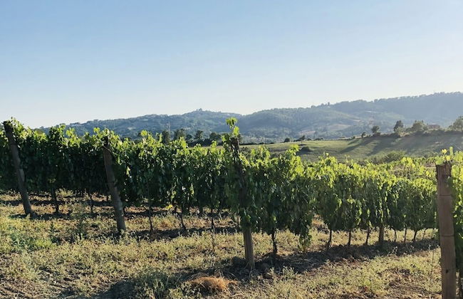 Agriturismo Poggio del Drago - Foto 27