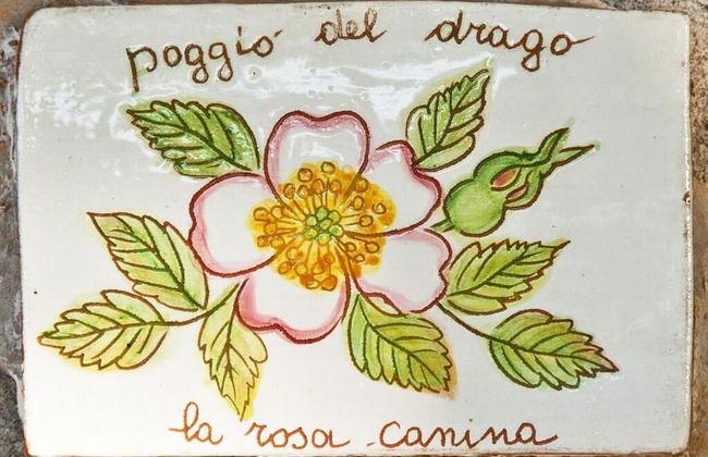 Agriturismo Poggio del Drago - Foto 2