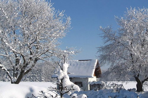 Photo 31 - Charming Holiday Home Near the Bavarian Alps