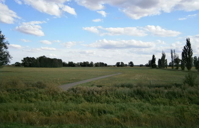 Alles Paletti - Foto 19