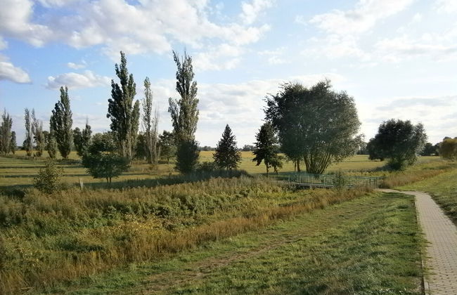 Wohnen im ehemaligen Kaminstudio - Foto 10