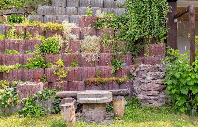 Peaceful Garden Flat in Dresden - Foto 22