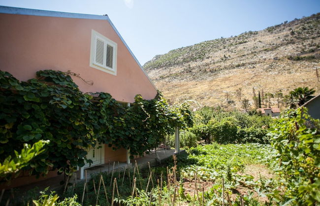 House With Large Garden, Right Next to the River - Foto 30