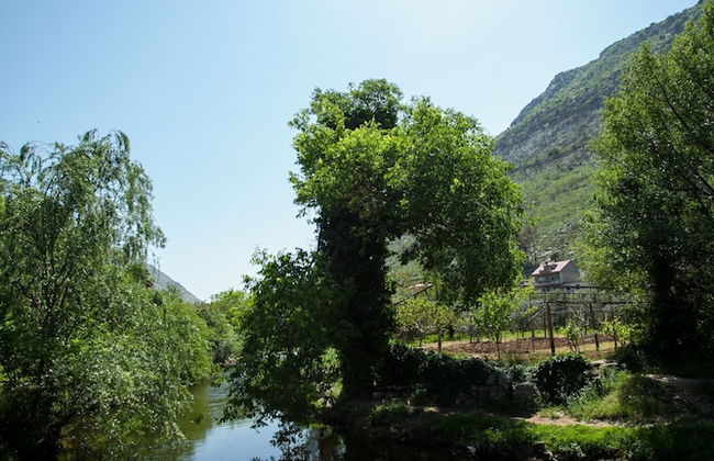 House With Large Garden, Right Next to the River - Foto 32