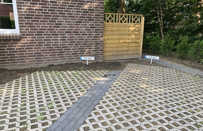Bernsteinsucher - Foto 9