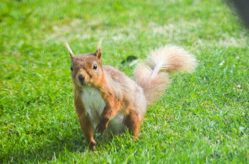 Photo 47 - Netherton Farm Lodge