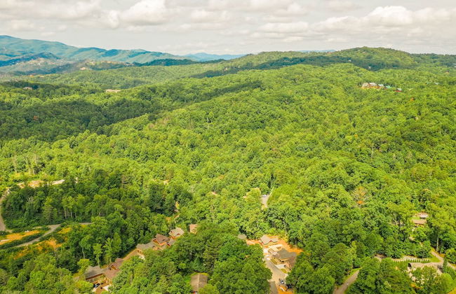 Tennessee Dream - Foto 53