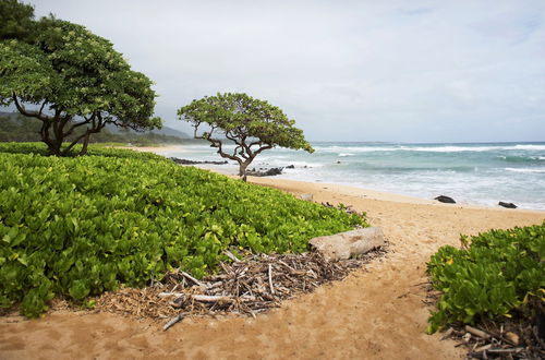 Foto 43 - Kauai Beach Villas