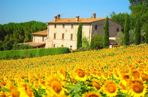 Foto 1 - Agriturismo Casale dei Frontini