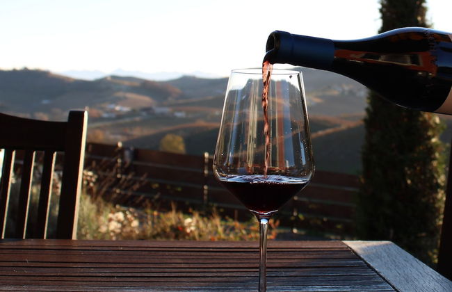 Red Wine - Guest House - Foto 40