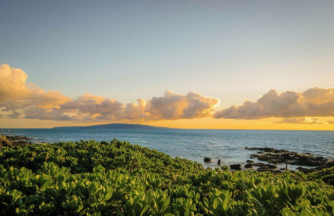 Pacific Shores - Foto 28