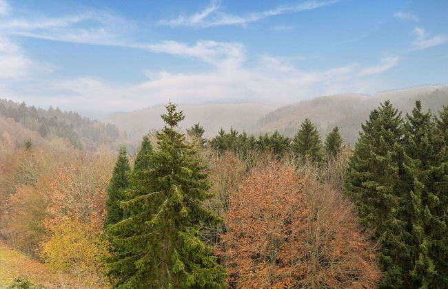 Apartment in Reifferscheid With Forest Trails - Foto 40