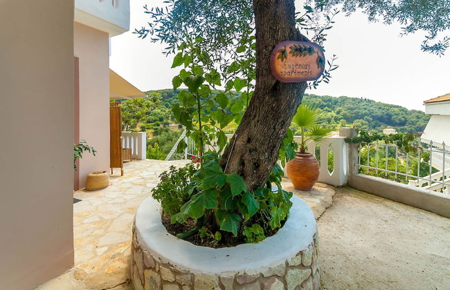 Evgenias sea view apartments - Foto 47