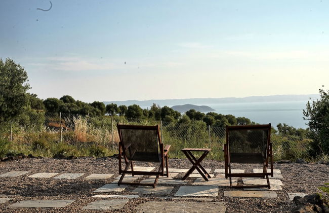 Alterra Vita Eco Villas - Foto 11