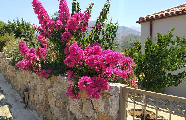 Villa Kastania - Photo 51