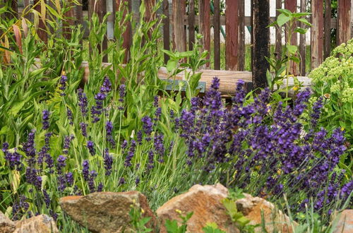 Photo 25 - Apartment in Thuringia With Garden