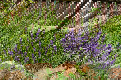 Foto 26 - Apartment in Thuringia With Garden