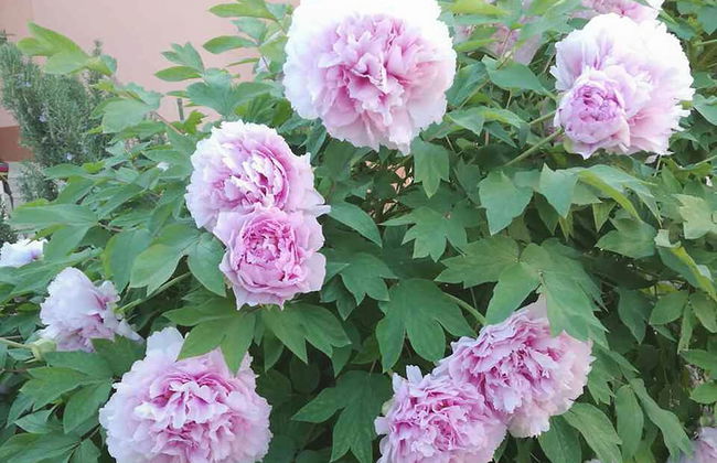 Marjan park - Photo 53