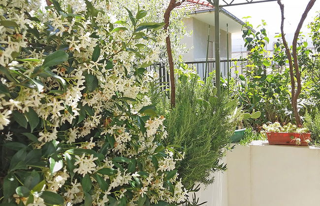 Marjan park - Photo 54