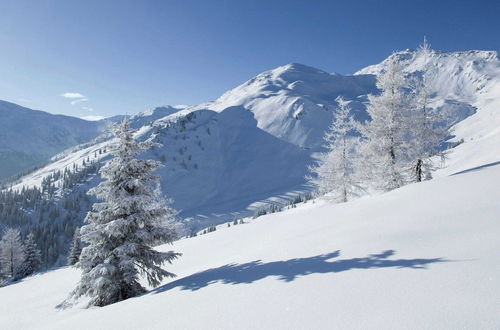 Photo 20 - Farm in Gerlosberg Near the ski Area