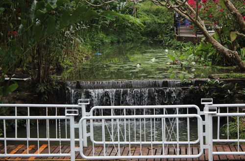 Photo 37 - The Stove House Hang Dong Chiang Mai