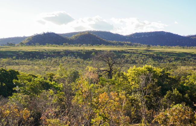 Terra Coral - Chapada dos Veadeiros - Foto 54