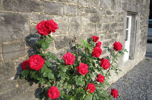 Photo 50 - Cosy Cottage in Barvaux-condroz With Garden