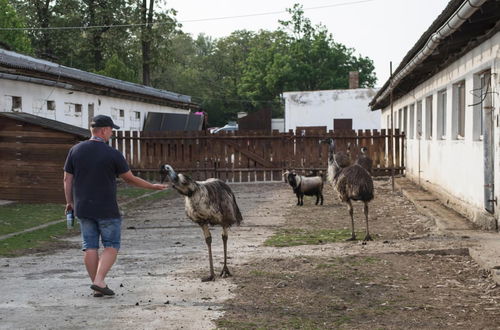 Photo 38 - Zoopark Zelčín